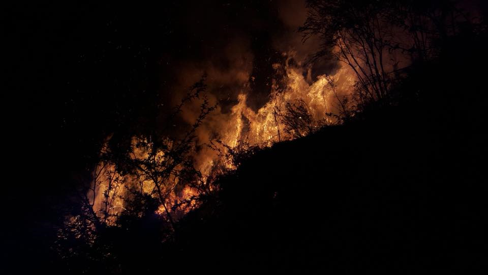 Asquith Avenue Wentworth Falls Fire 4 