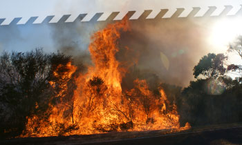 NSW RFS - firefighters