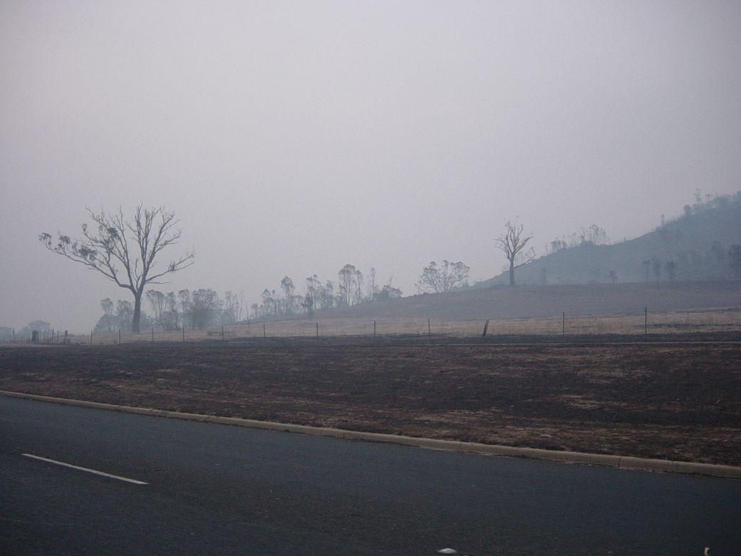 Canberra fires aftermath, 2003. Photo: Matt Sun.