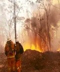 Winmalee Bush Fire Emergency 