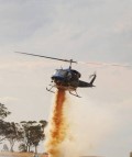 Swift action shuts down blaze west of Dubbo