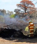 Small fires prompt bushfire season warning