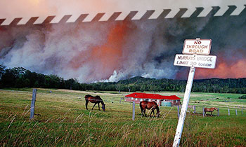 A fire burning close to a home with horses in a paddock