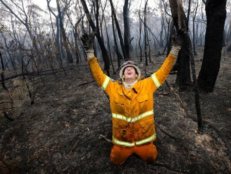 Volunteers assist with Blue Mountains fires photo