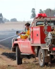 Fast action halts spread of Mogriguy grass fire