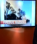 RFS and Police warn firebugs