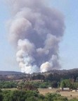 Central Mullion Forest Fire