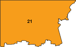Region Image