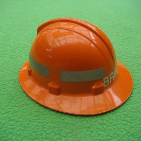 1994 Regional Planning Officer BF Helmet