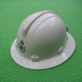 2011 Firefighter BF Helmet