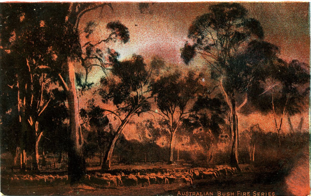 Australian Bush Fire Series, 1900