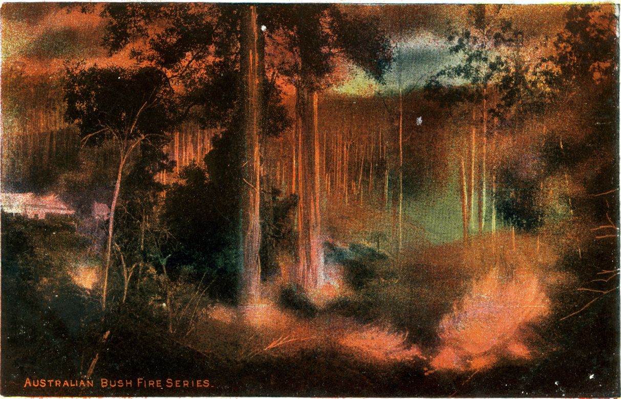 Australian Bush Fire Series, 1900