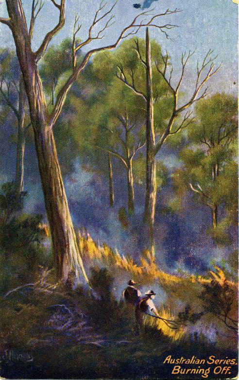 Australian Series Burning Off, 1908