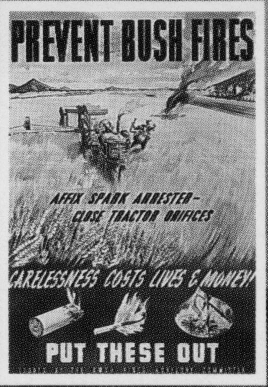 Prevent Bush Fires Put These Out, 1950