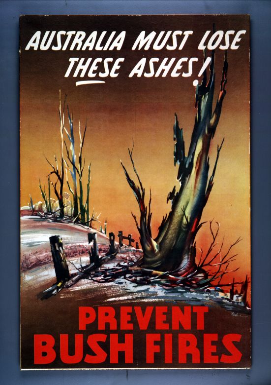 Australia Must Lose These Ashes, 1955