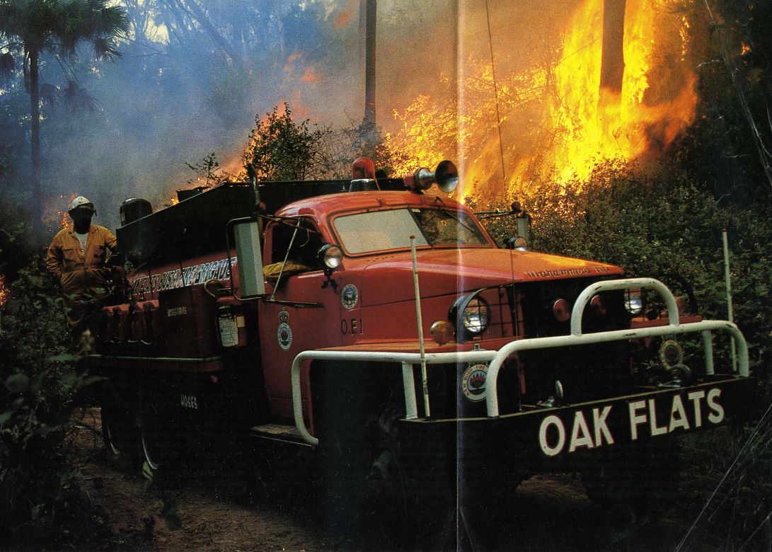 1981 Oak Flats Studebaker