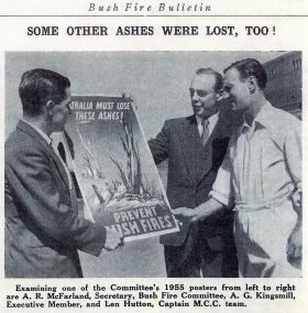 Ashes Poster 1955