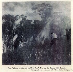 Terrey Hills Fire 1955