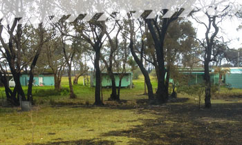 Homes near burnt bushland