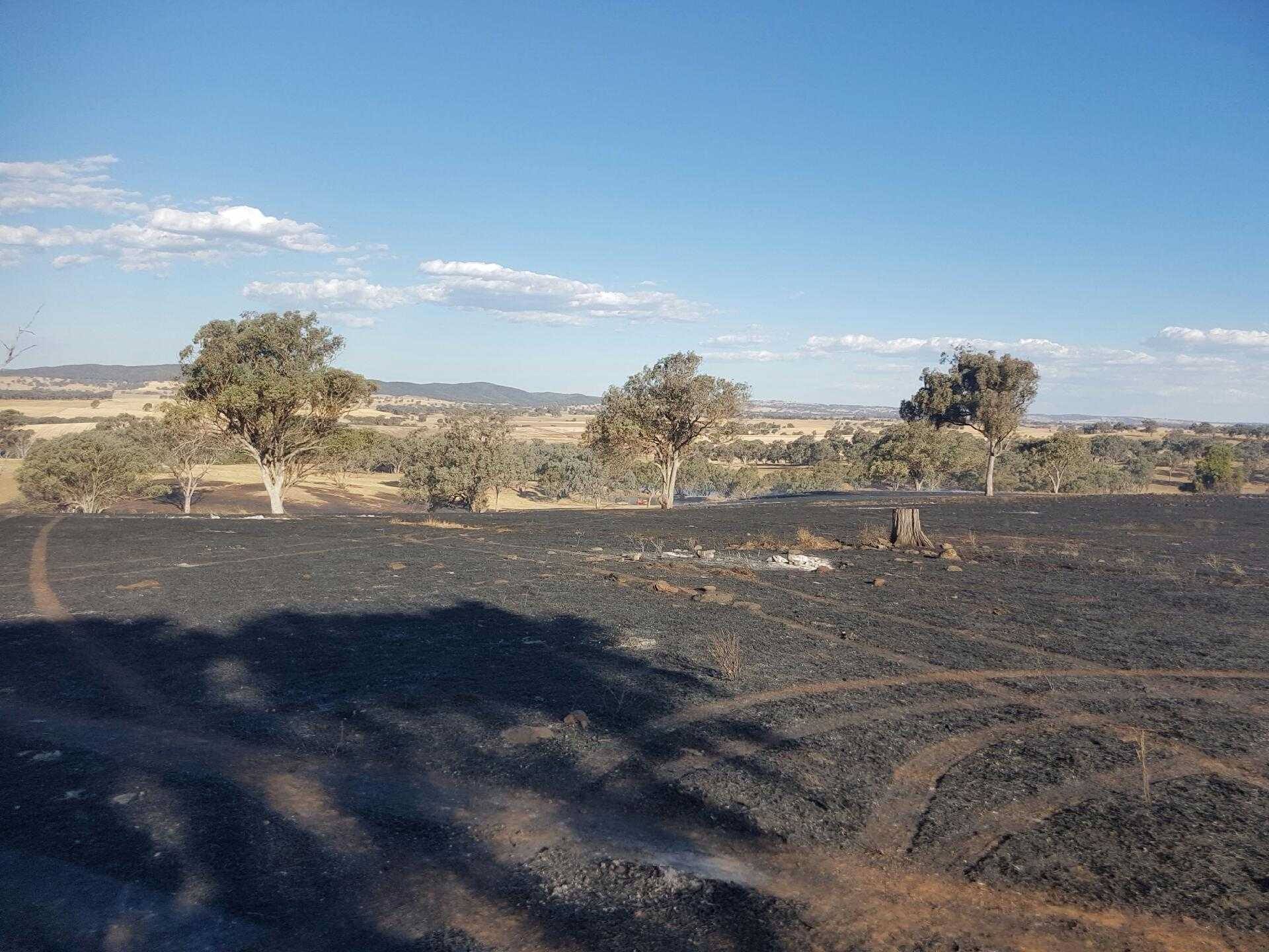 Nandillyon Fire, Molong 3