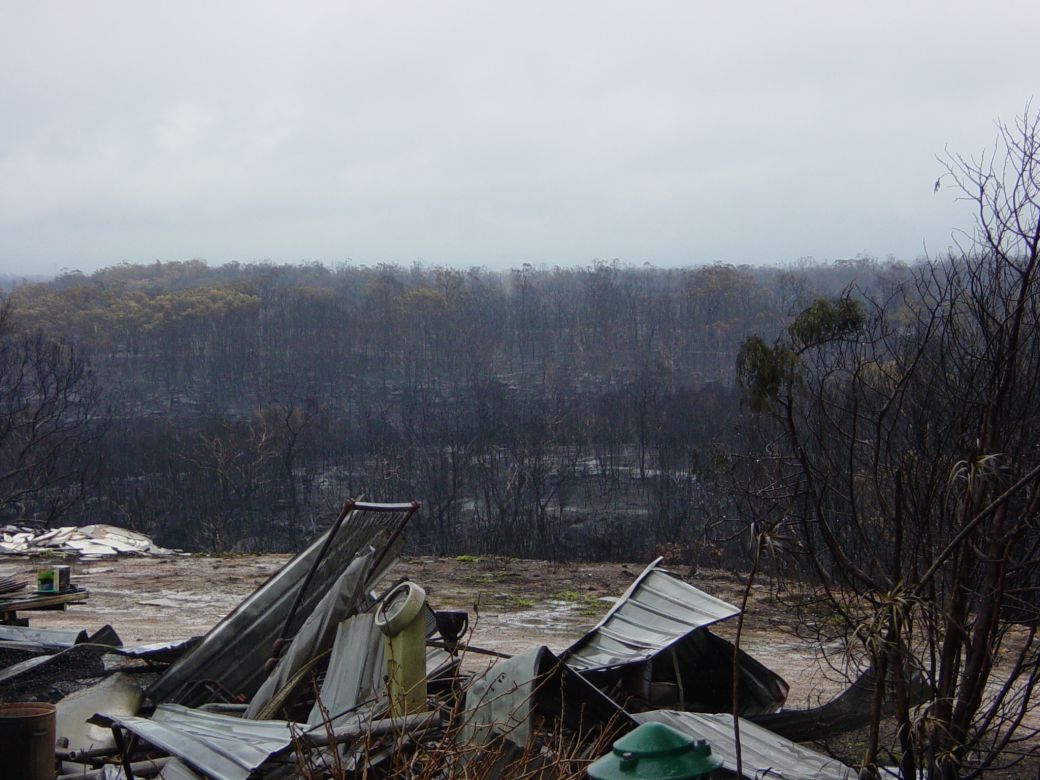 Canberra fires, 2003 Canberra fires aftermath, 2003. Photo: Matt Sun.