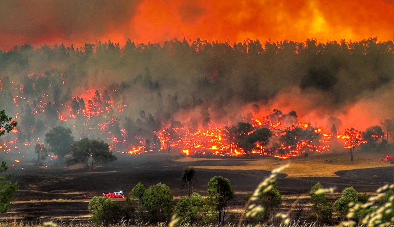 Mandagery Road, Parkes Fire 15