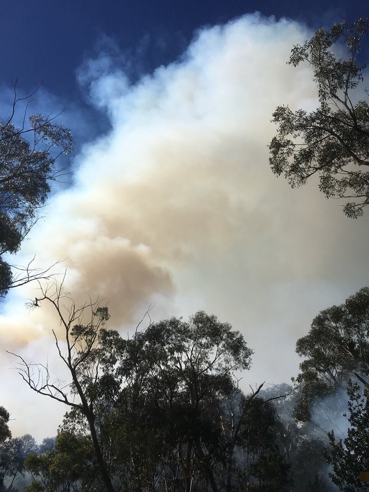 Harris Creek Hazard Reduction Wentworth Falls 5