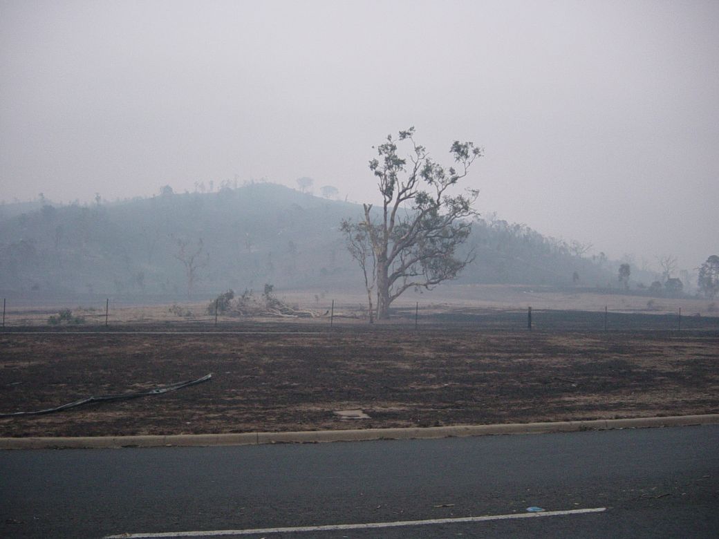 Canberra fires, 2003 Canberra fires aftermath, 2003. Photo: Matt Sun.
