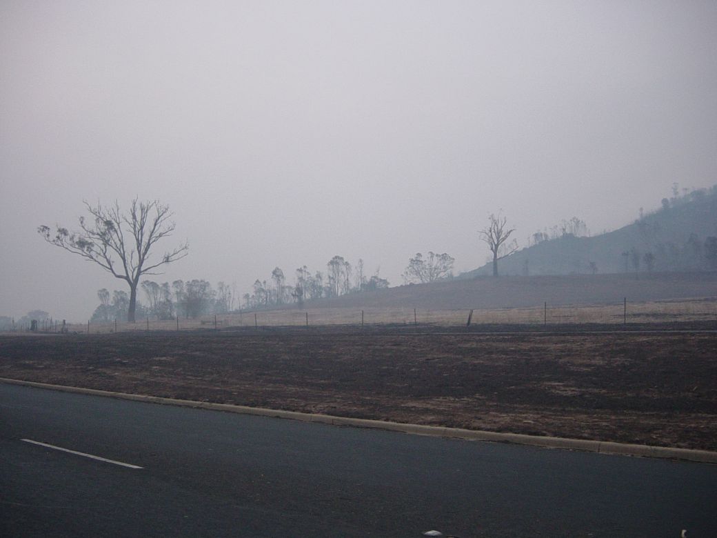 Canberra fires, 2003 Canberra fires aftermath, 2003. Photo: Matt Sun.