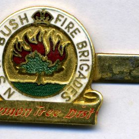 1970 - Lemon Tree District tie pin