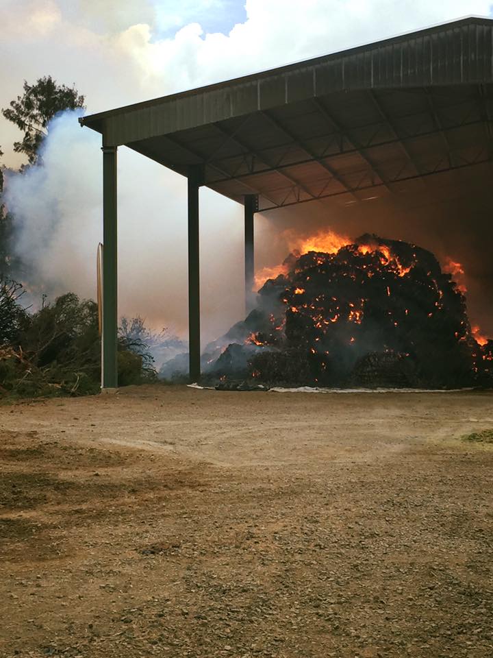 Wirrinya Road Hayshed 1 