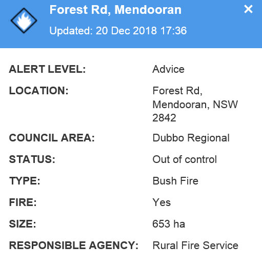 Forest Road Fire 1