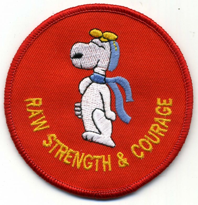 1994 - Terrey Hills patch