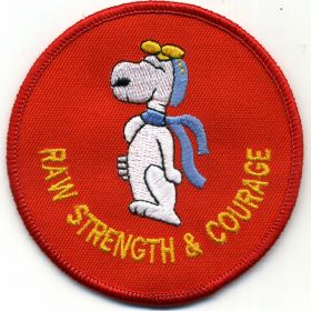 1994 - Terrey Hills patch