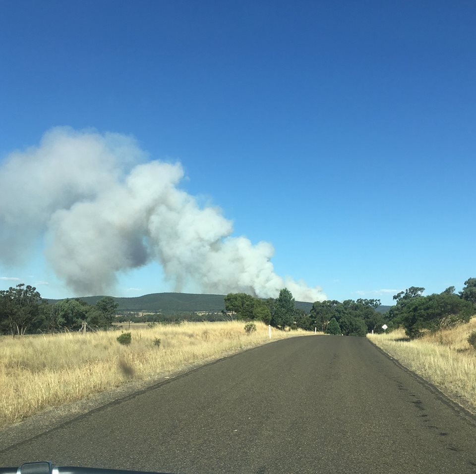 Mandagery Road, Parkes Fire 4