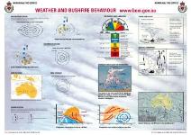 Bush Fire Behaviour 