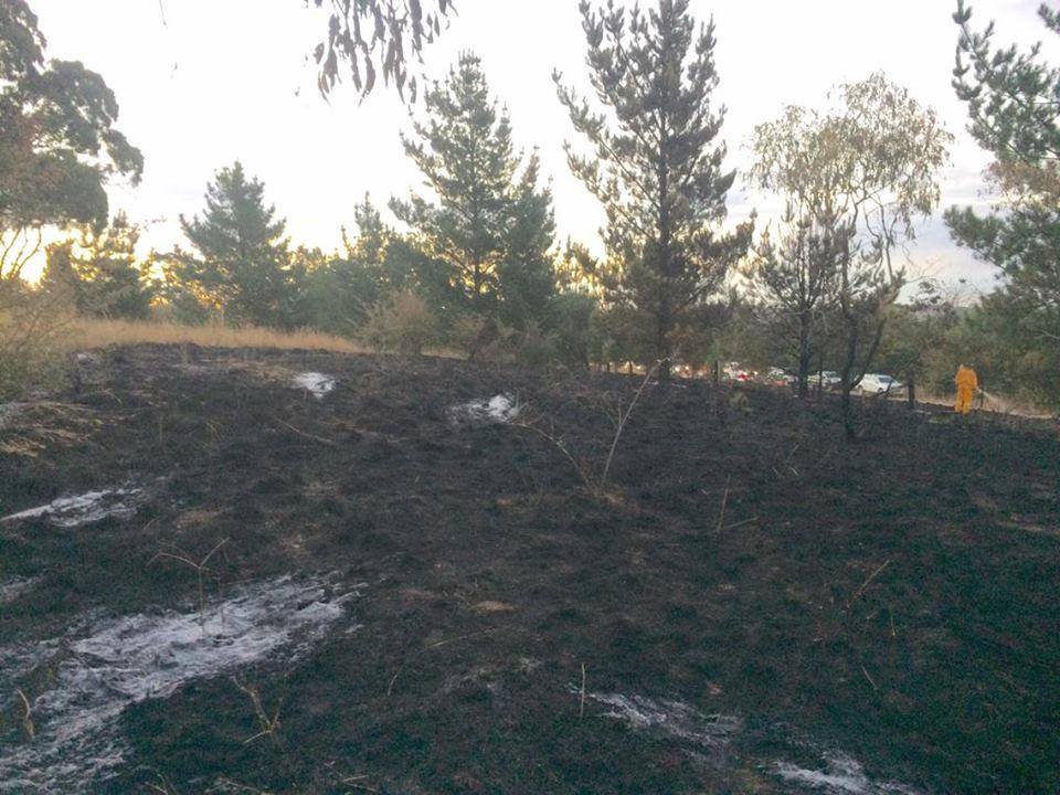 Shadforth fire 1 Shadforth fire 1