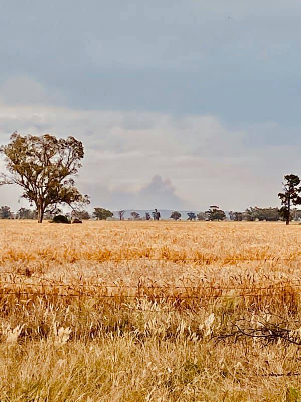 North of Bedgerebong