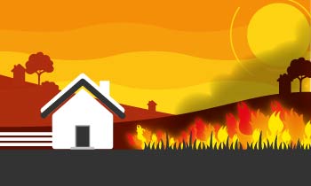 Grass Fires thumb
