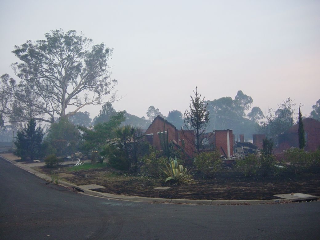 Canberra fires, 2003 Canberra fires aftermath, 2003. Photo: Matt Sun.