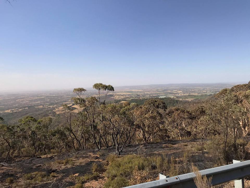 Mt Canobolas 6 