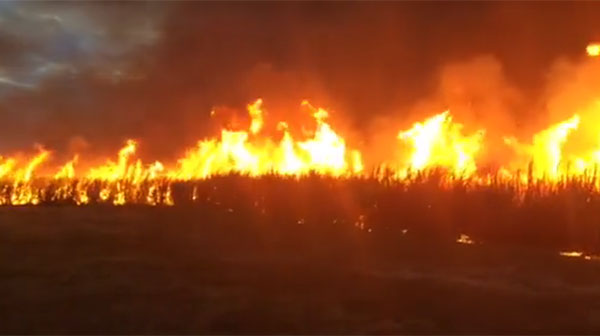 A sugar cane burn in northern NSW
