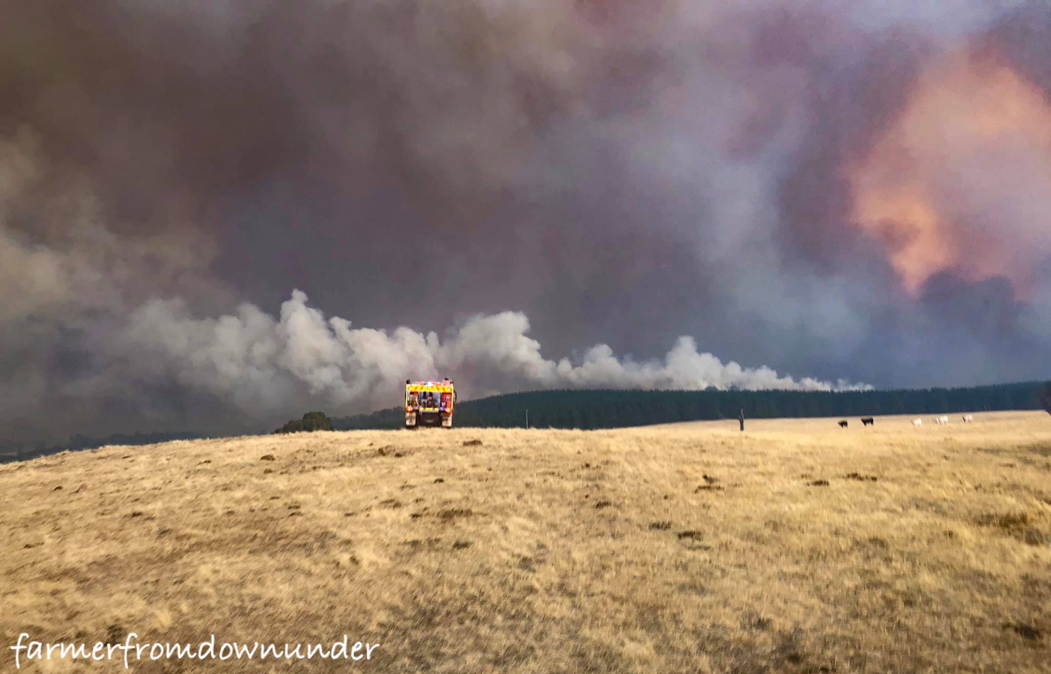 Tumut Fires 8