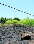 Zone turns up heat on arsonist.jpg The burnt out area at Lone Pine Avenue