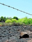 The burnt out area at Lone Pine Avenue