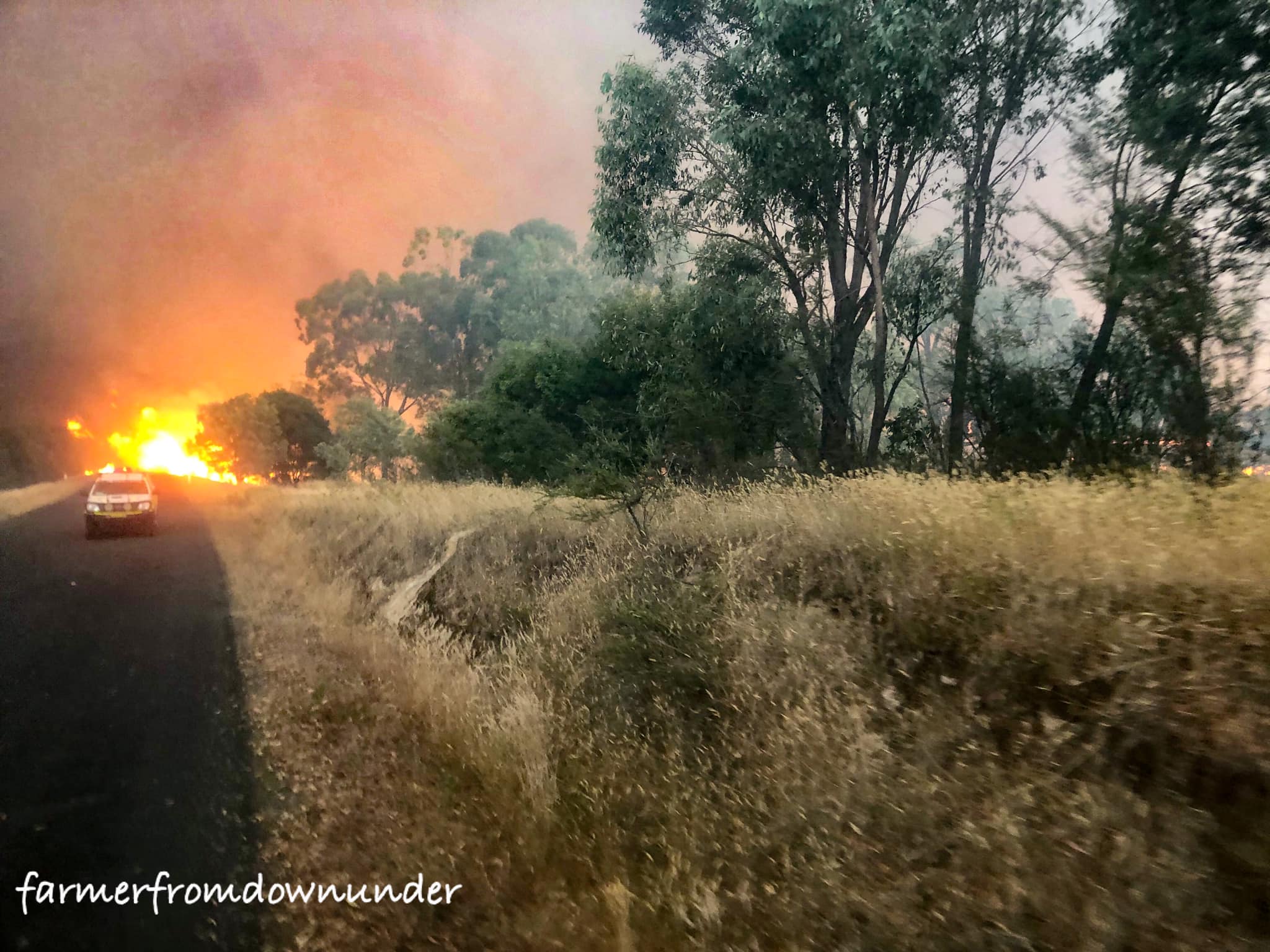 Tumut Fires 10