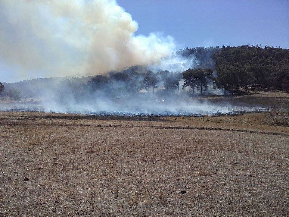 Fragar Road Fire 4