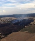 Cannon Bush Fire