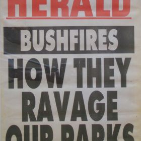 The Sydney Morning Herald, 1994 The Sydney Morning Herald reports on the fires which destroyed more that 200 homes.