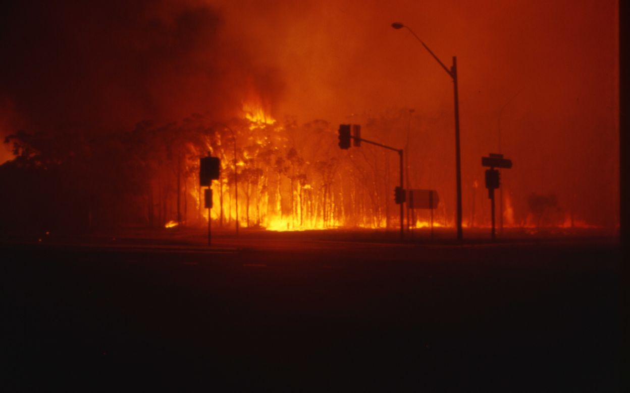 Forest Way Mona Vale Road, January 1994 A fire rages at Forest Way, Mona Vale Road during the 1994 Sydney fires.